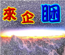 251159613