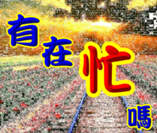 251159618
