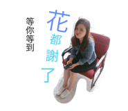 25117714