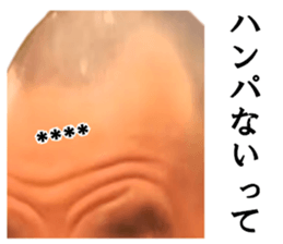 251251344