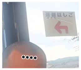 251251349