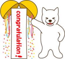 2512577