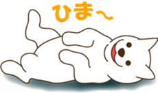 2512578