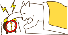2512580