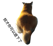 25133191