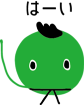 25133810