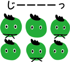 25133817