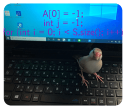 251375933