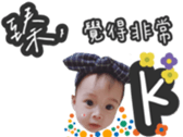 251419239