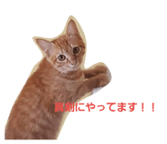 25142265
