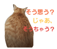 25142267