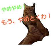 25142268