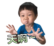 25143317