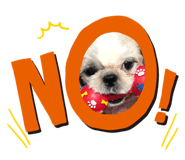 251464696
