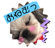251464713