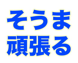 251584156