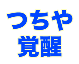 251589314