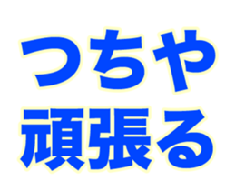 251589324