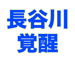 251591618