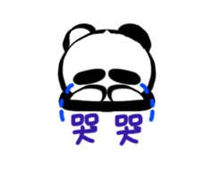 25165503