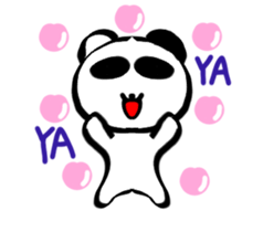 25165505