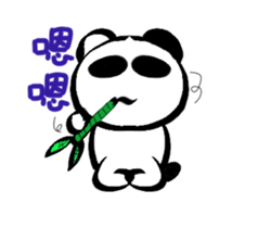 25165507