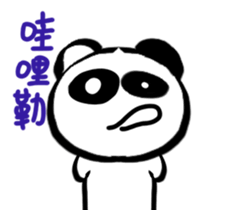 25165516