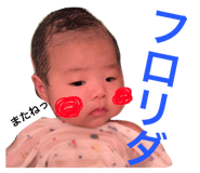 25168175