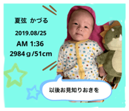 251728133