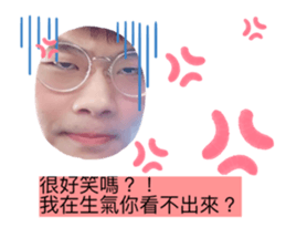 251734334