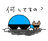 251795281