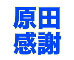 251863950