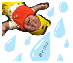 251967411