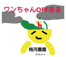 25201322