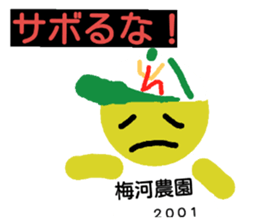 25201323