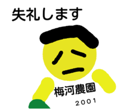 25201324