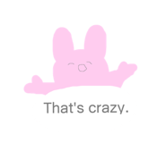 252085070