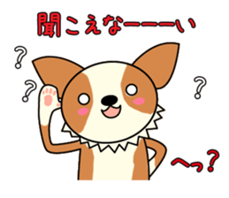 2521004