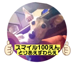 252122972