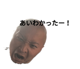 252137384