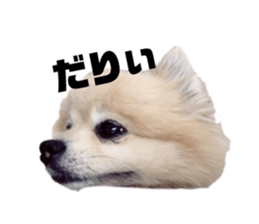 252137537