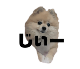 252137539