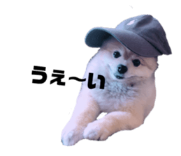 252137548