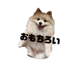 252137556