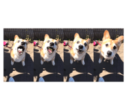 252137962