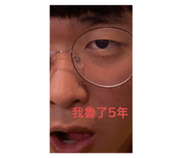 252281665