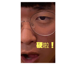 252281668