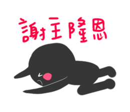 2523084