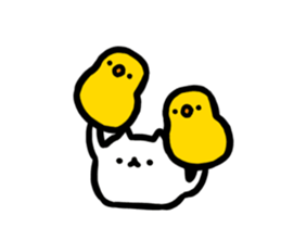 252356930