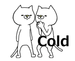 25236217